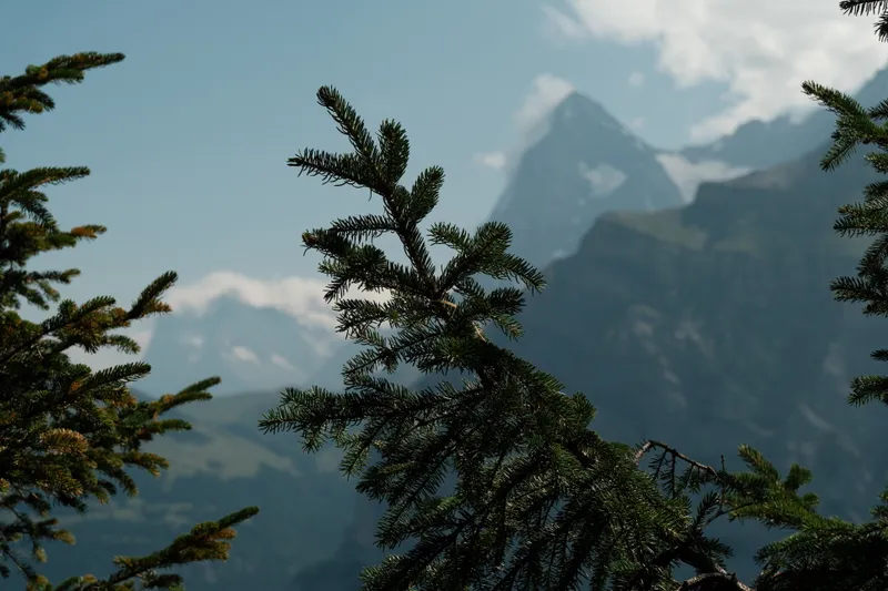 Switzerland to the Sea, photo 6 of 46