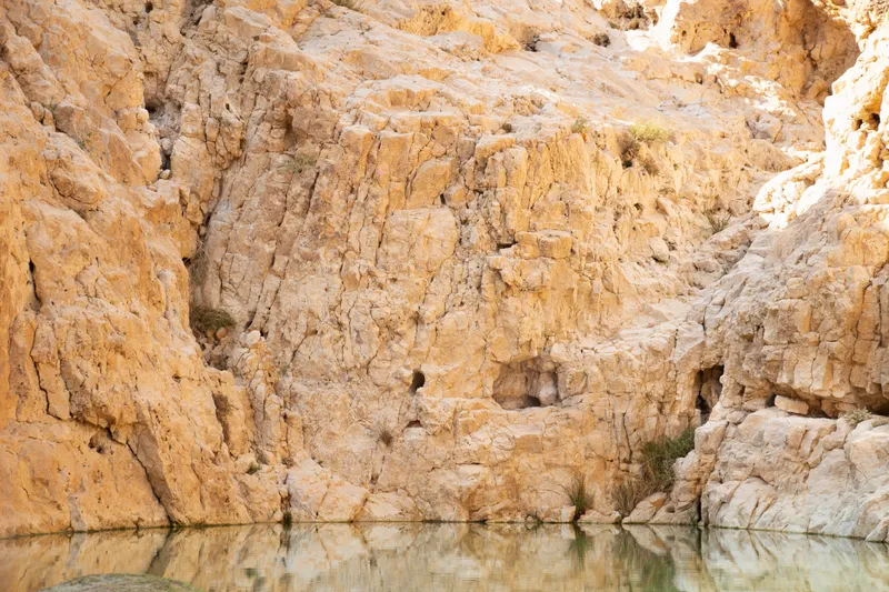 Nahal Saraf, photo 5 of 7